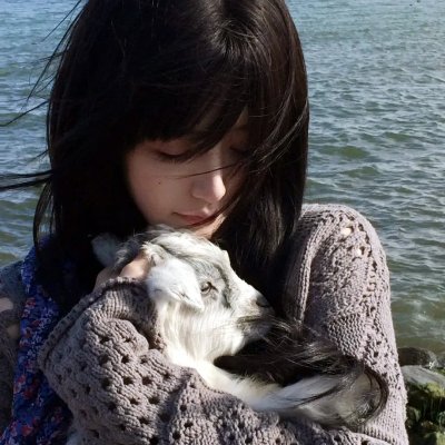 第二十条之倒反天纲